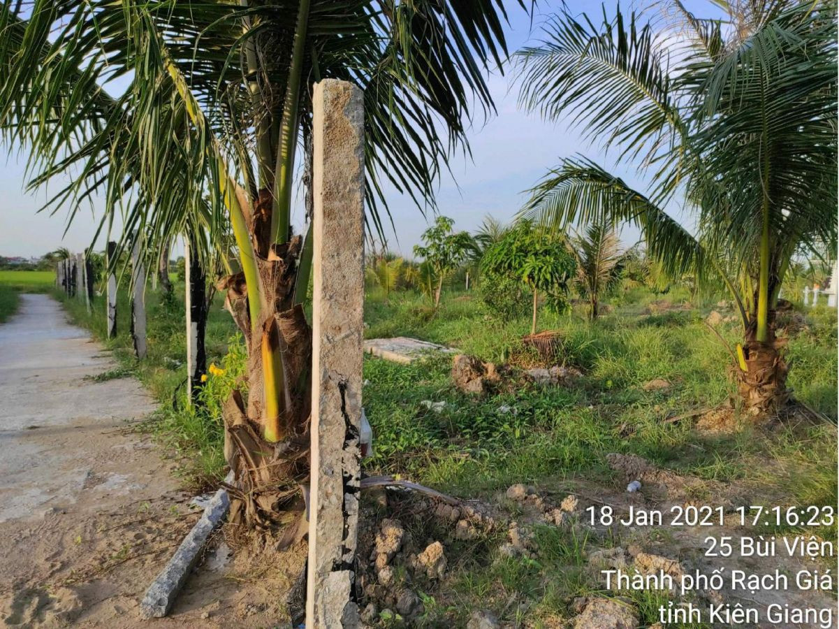 Bán đất trồng lúa 25 Bùi Viện, phường Vĩnh Lợi, TP Rạch Giá, Kiên Giang