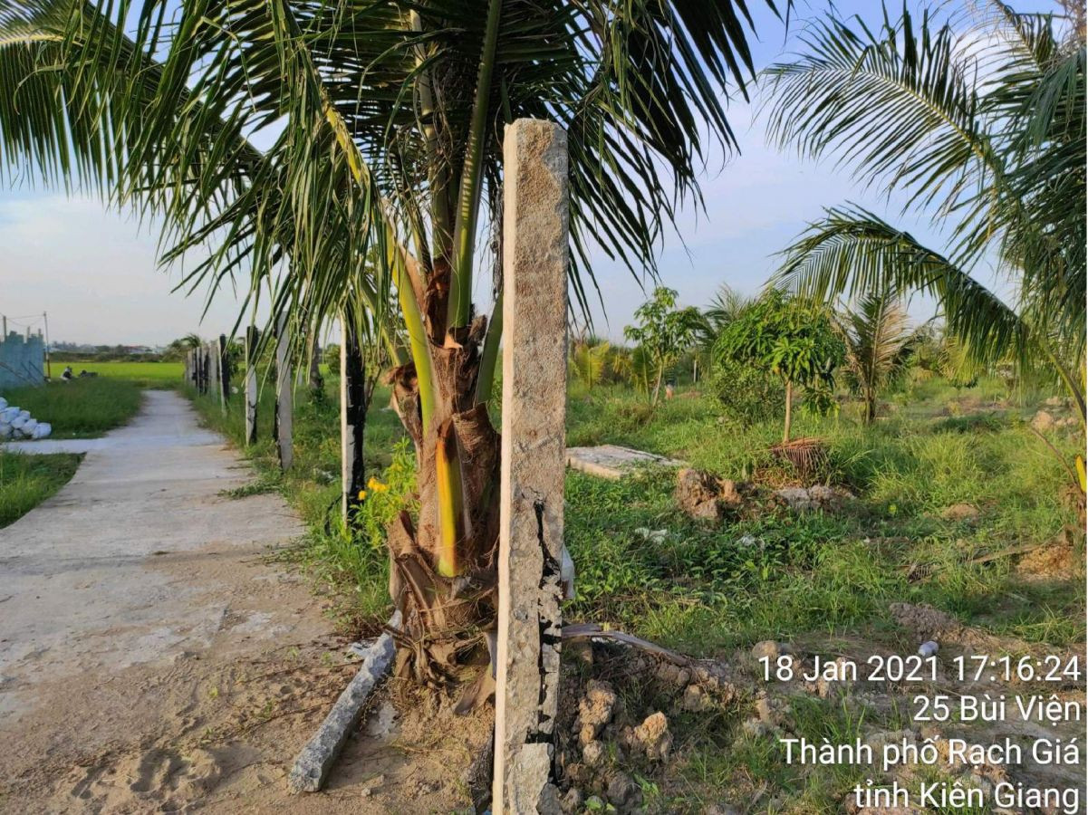 Bán đất trồng lúa 25 Bùi Viện, phường Vĩnh Lợi, TP Rạch Giá, Kiên Giang