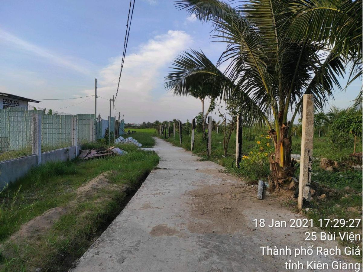 Bán đất trồng lúa 25 Bùi Viện, phường Vĩnh Lợi, TP Rạch Giá, Kiên Giang