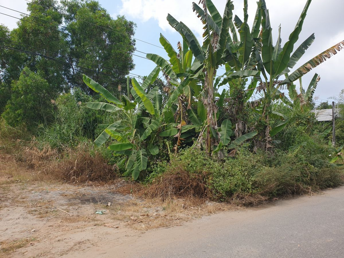 Đất nền đường Huỳnh Tấn Phát Kiên Giang