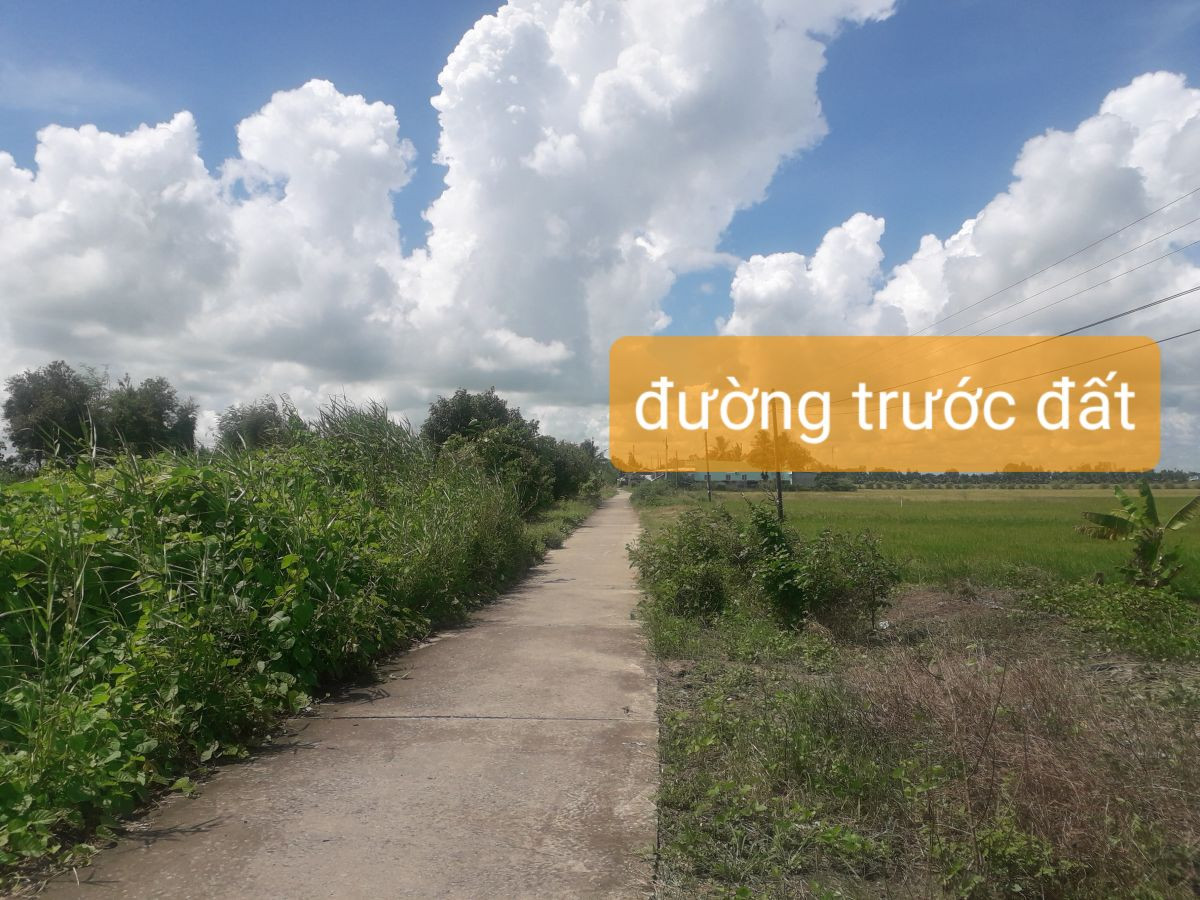 Bán 1364m2 đất đường Kênh 6 ấp Thạnh Hưng, xã Thạnh Lộc, huyện Châu Thành