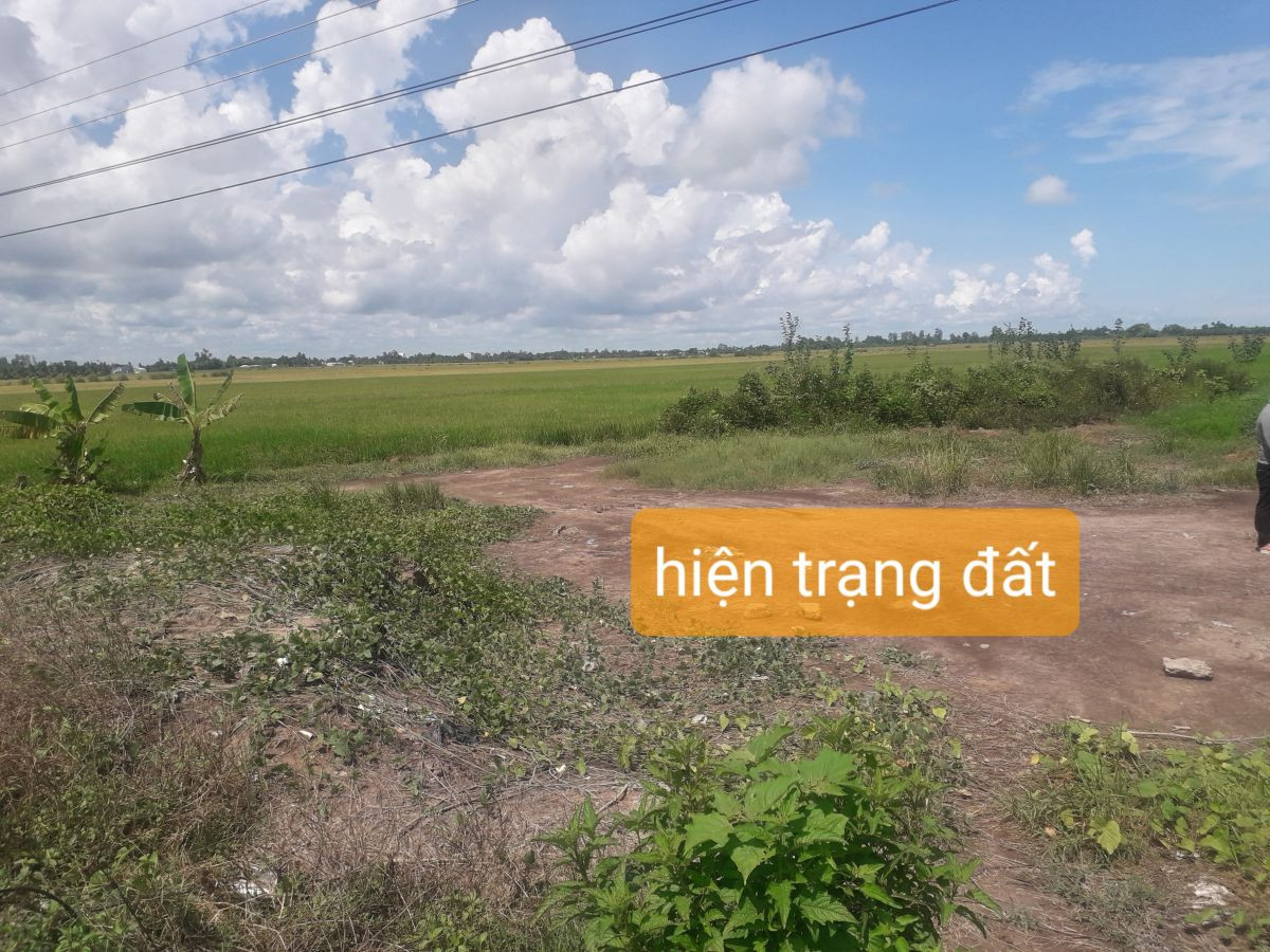 Bán 1364m2 đất đường Kênh 6 ấp Thạnh Hưng, xã Thạnh Lộc, huyện Châu Thành
