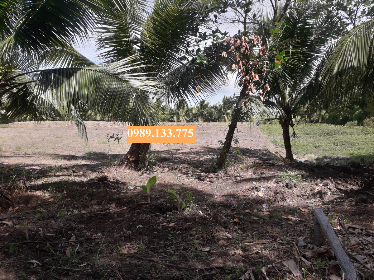 Bán nền 10x68 mặt tiền đường Kênh Năm Liêu, P.Vĩnh Thông, Rạch Giá (9xx triệu)