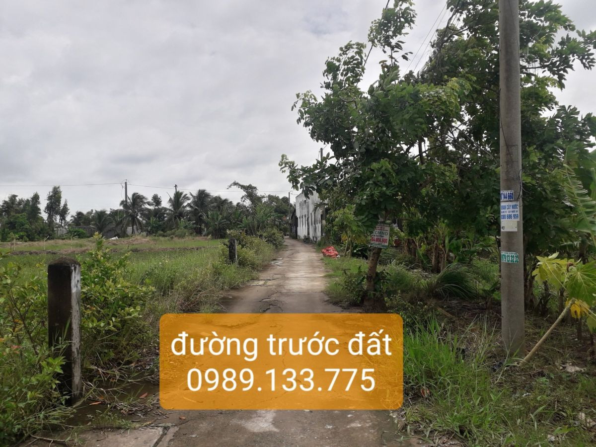 Bán nền 5x53 nhánh đường Bùi Viện, P.Vĩnh Lợi, Rạch Giá (470 triệu)