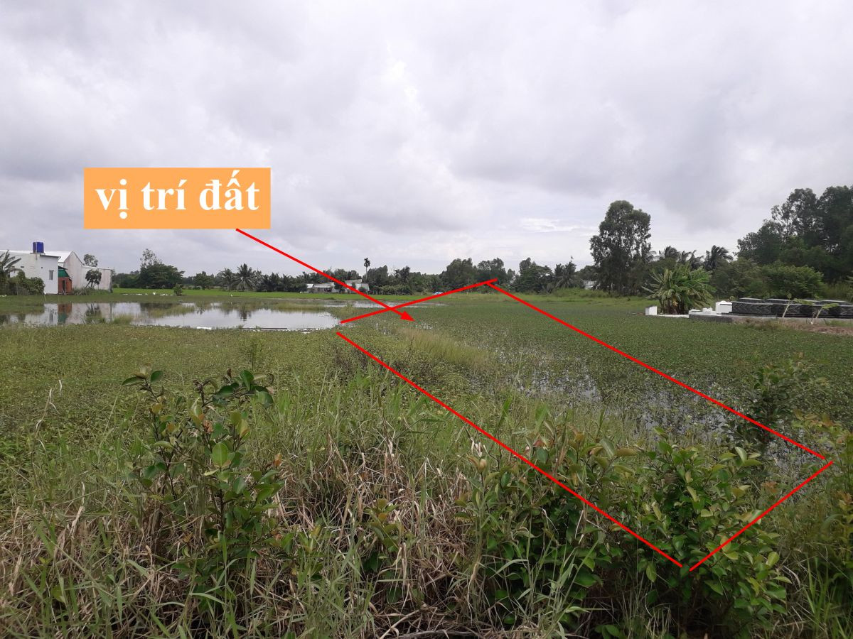 Bán nền 5x53 nhánh đường Bùi Viện, P.Vĩnh Lợi, Rạch Giá (470 triệu)