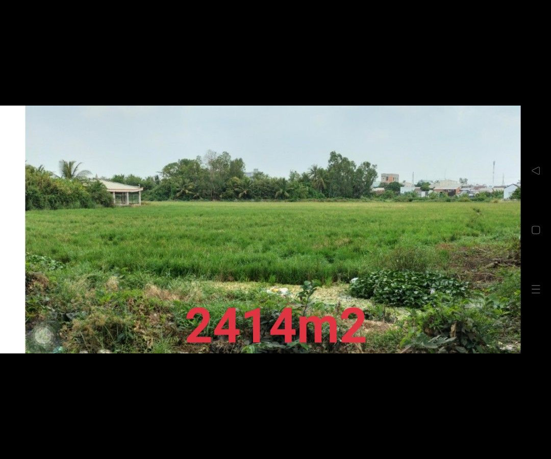 BÁN ĐẤT LÚA QUY HOẠCH ĐẤT Ở - AN HÒA - RẠCH GIÁ - KIÊN GIANG