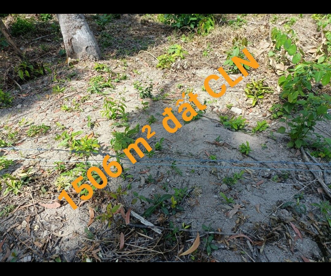 BÁN ĐẤT NỀN ẤP HÒN MẤU - KIÊN HẢI - KIÊN GIANG